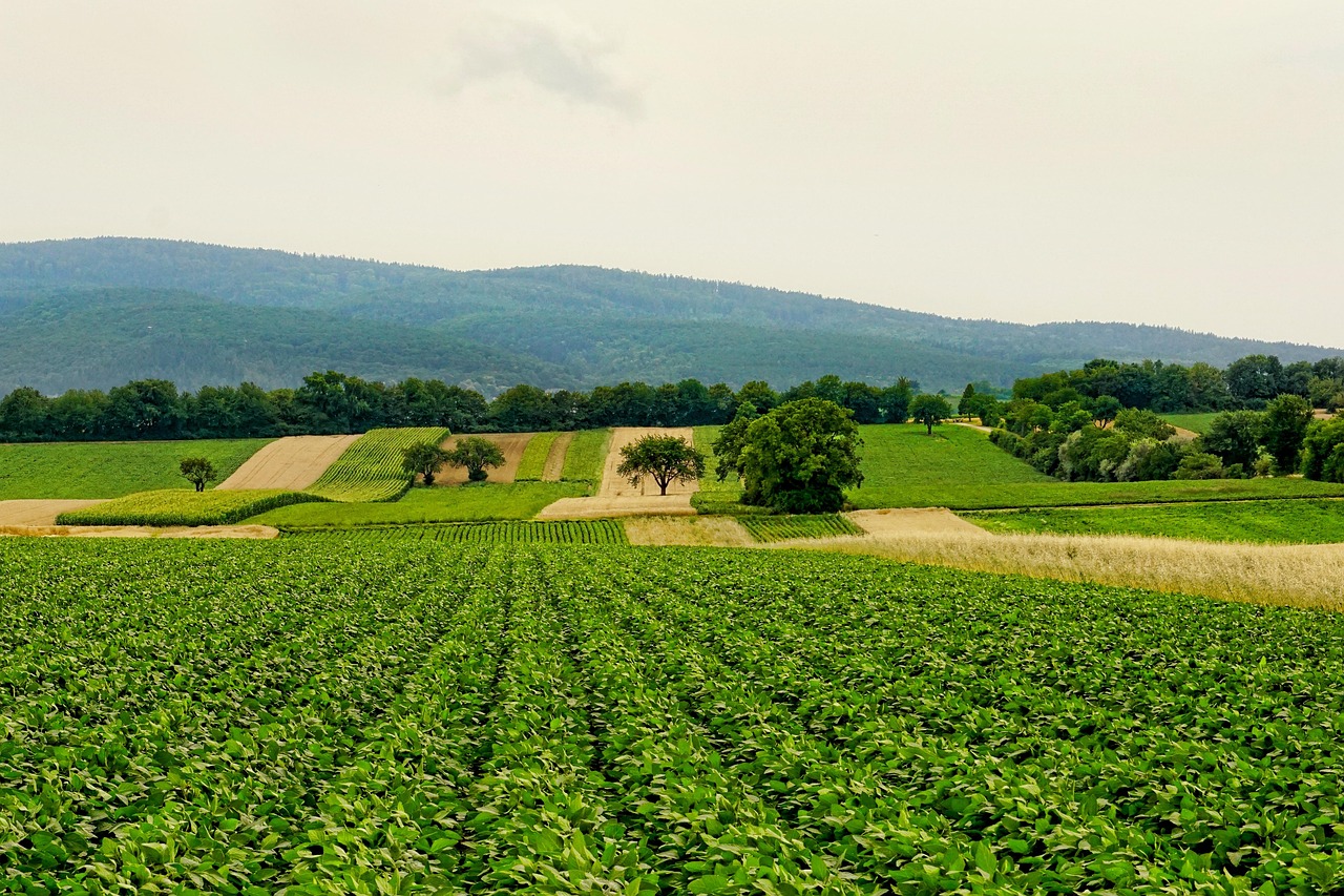 Innovative IT solutions for sustainable farming.