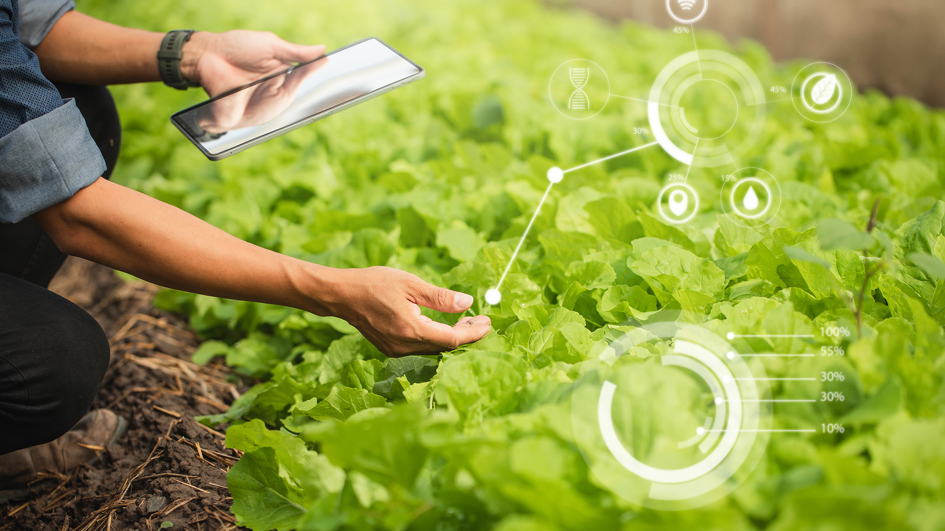 Use of Information Technology in Agriculture