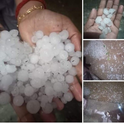 Cold wave impacting germination of Crop