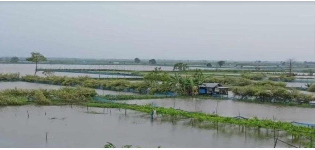 Fishery